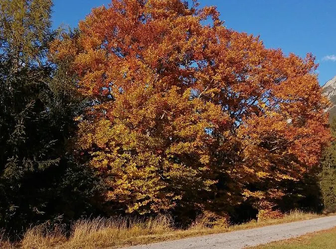 Apartment 4 Stanzach