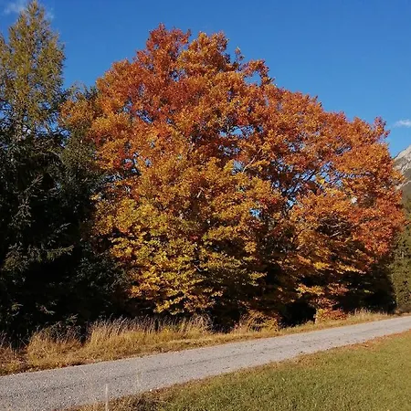 아파트 4 슈탄차흐