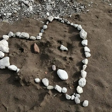 4 *
